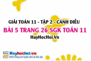 Bài 5 trang 26 Toán 11 tập 2 Cánh Diều